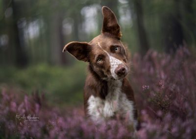 DSC00024-Edit