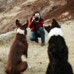 Pet photos in focus